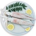 Fresh Squid (Malaysia)